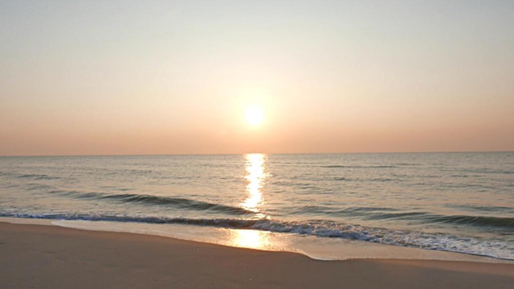 Hung Do Beach Homestay Hoi An Exteriör bild